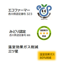 特別栽培・低農薬「ぶんたん」6kg　小玉18個程度【ラスト1個】 2枚目の画像