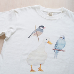 【数量限定】鳥好きさんのためのオーガニックコットン半袖Tシャツ 3枚目の画像