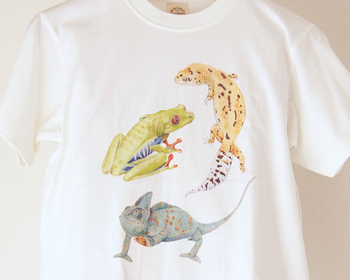 チェック柄☆オーガニックコットン【Roots】半袖 Tシャツ チェック柄☆オーガニックコットン【Roots】半袖 Tシャツ