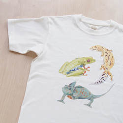 【数量限定】爬虫類好きさんのためのオーガニックコットン半袖Tシャツ 3枚目の画像
