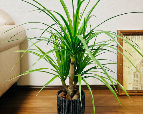 e33f2f7b131c79e48a916296426844