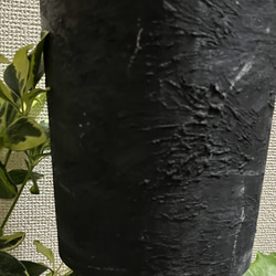 観葉植物　シェフレラ　ホンコンカポック斑入り 4枚目の画像