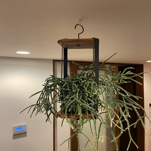 soso 良い 木全さん ハンギングラウンドワイヤー サークルハンギング