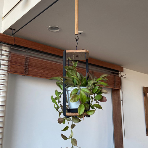 soso 良い 木全さん ハンギングラウンドワイヤー サークルハンギング