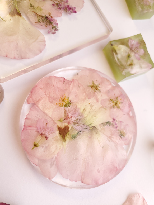 【春】桜とトルコギキョウのコースター ～あなただけの恋の物語～ 3枚目の画像