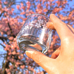 「桜咲く お花見猫の冷酒グラス」2種セット 16枚目の画像