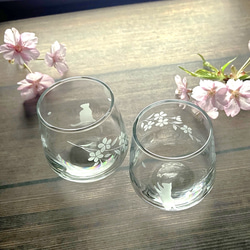 「桜咲く お花見猫の冷酒グラス」2種セット 1枚目の画像