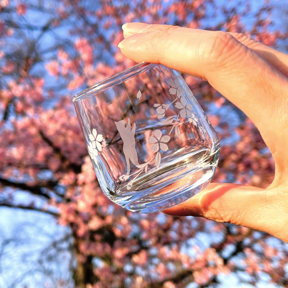 「桜咲く お花見猫の冷酒グラス」2種セット 15枚目の画像