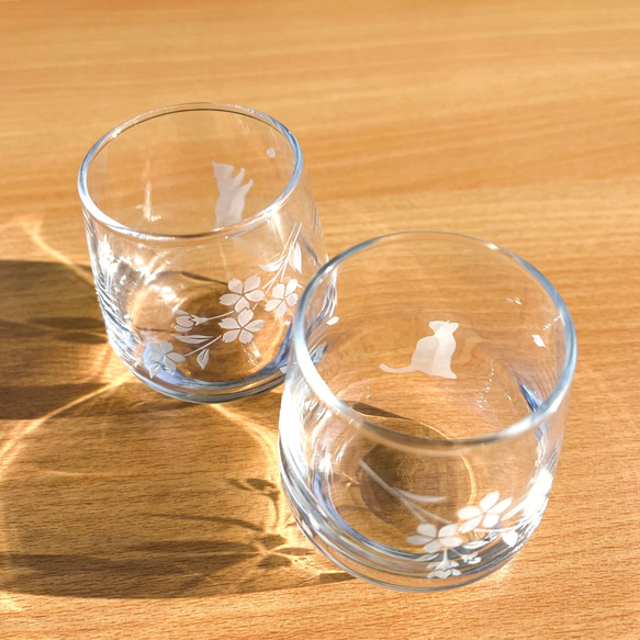 「桜咲く お花見猫の冷酒グラス」2種セット 13枚目の画像