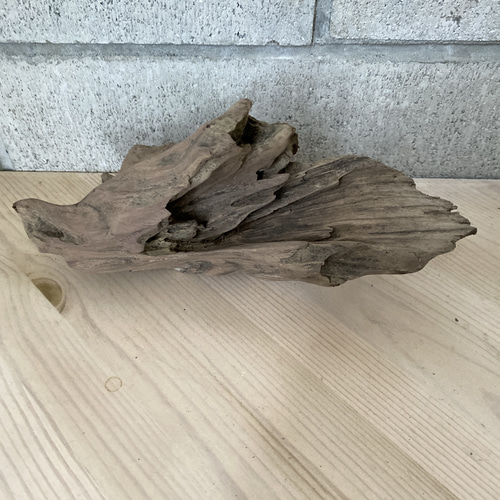 t55アク抜き済み流木セット 爬虫類シェルター 登り木 インテリア エアプランツ t55アク抜き済み流木セット 爬虫類シェルター 登り木 インテリア