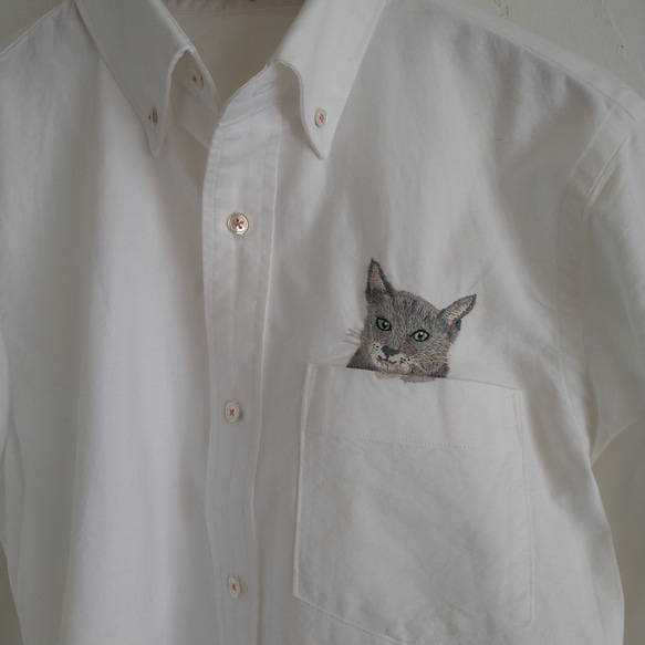 天然素材のメンズシャツ/ネコシャツ（Mサイズ）/コットン100%/ボタンダウン白シャツ 6枚目の画像