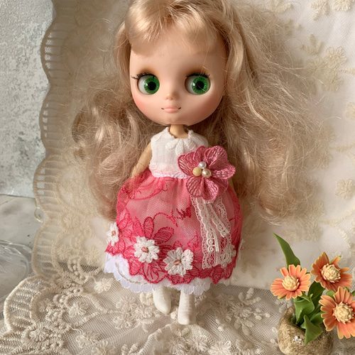 ミディブライス アウトフィット ～鳥さんワンピース～ ミディブライス