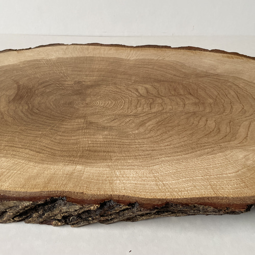 天然木　輪切り　飾り台　花台　床の間　自然形状の切り株 天然木 切り株 敷板 飾り台 花台 床の間飾りの通販 by R shop