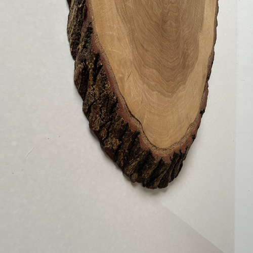 一点物】天然木クヌギの輪切り花台｜和モダンな丸太インテリア台