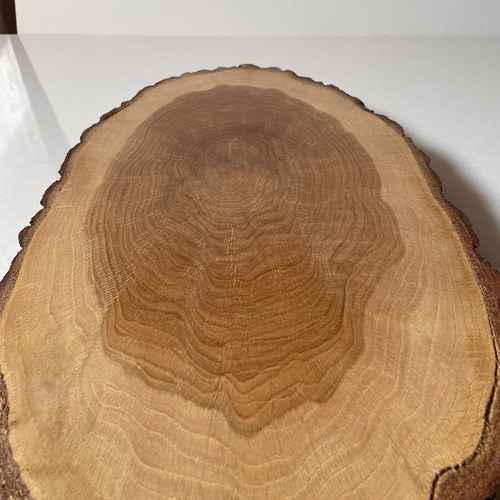 一点物】天然木クヌギの輪切り花台｜和モダンな丸太インテリア台