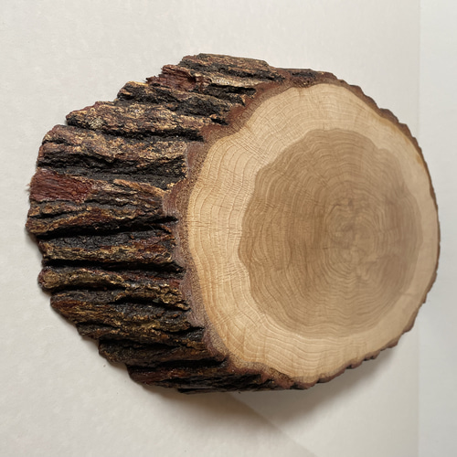 一点物】天然木クヌギの輪切り花台｜和モダンな丸太インテリア台