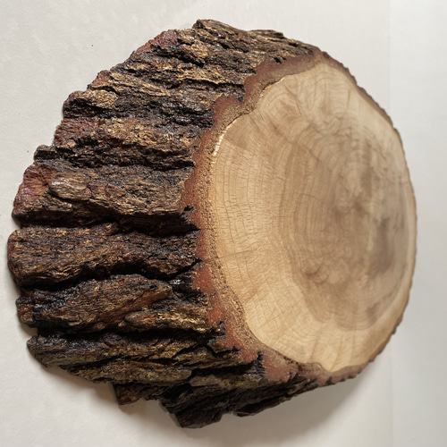 一点物】天然木クヌギの輪切り花台｜和モダンな丸太インテリア台