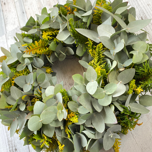 一年中飾れる フレッシュユーカリとヒバのグリーンリース リース