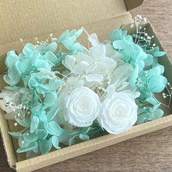 503d6c49a4efa1a55f71b9e0391ddc