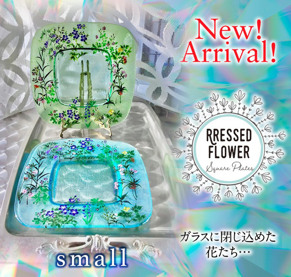 スクェアプレート ターコイズ24㎝ small 1枚〖ガラスに閉じ込めた花たちシリーズ〗Pressed flowers 6枚目の画像