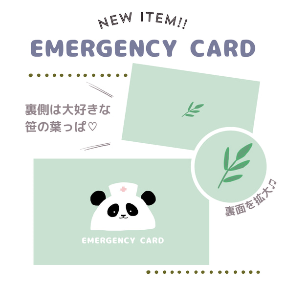 パンダのEMERGENCY CARD 1枚(緊急連絡先) 5.5cm×9cm 3枚目の画像