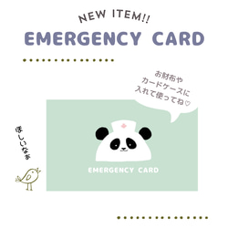 パンダのEMERGENCY CARD 1枚(緊急連絡先) 5.5cm×9cm 7枚目の画像