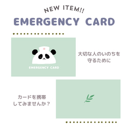 パンダのEMERGENCY CARD 1枚(緊急連絡先) 5.5cm×9cm 8枚目の画像