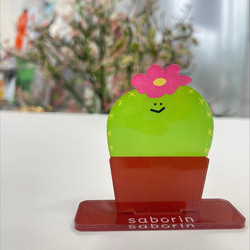 サボテン【saborin】アクリルスタンドとキーホルダーのセット 2枚目の画像