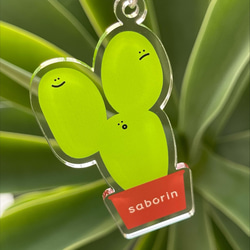 サボテン【saborin】アクリルスタンドとキーホルダーのセット 4枚目の画像