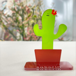 サボテン【saborin】アクリルスタンドとキーホルダーのセット 3枚目の画像