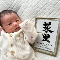 シンプルで温かみのある【命名書】デザインします “質の高い作品をリーズナブルに”お七夜/お宮参り/記念品 18枚目の画像