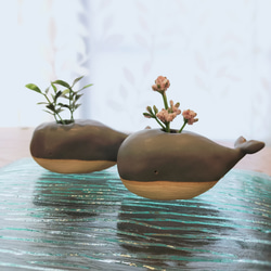 7a20fe531879146b2dbb8ff5cafde5