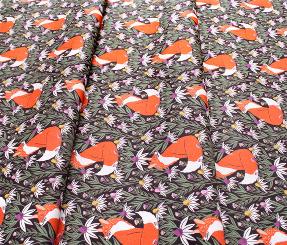 カットクロス Cloud9 Fabrics / Wild Haven 227463 Foxy Daisies 4枚目の画像
