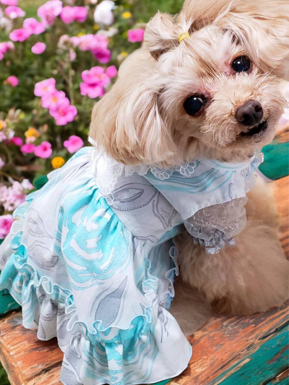 犬服♪手編み♪オーダーMILK様専用 高品質 ハンドメイド犬服♡手編み