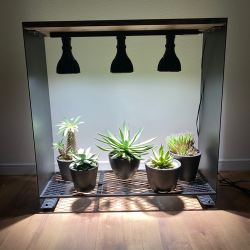 BOOST壱TYPE D-25 育成棚 24 棚・シェルフ・ラック trippy wood 通販  