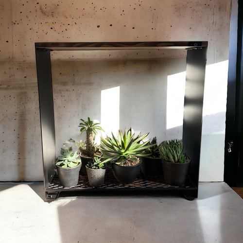 BOOST壱TYPE D-25 育成棚 24 棚・シェルフ・ラック trippy wood 通販  