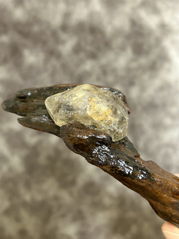 魔法の杖⭐︎古の杖⭐︎流木 3枚目の画像