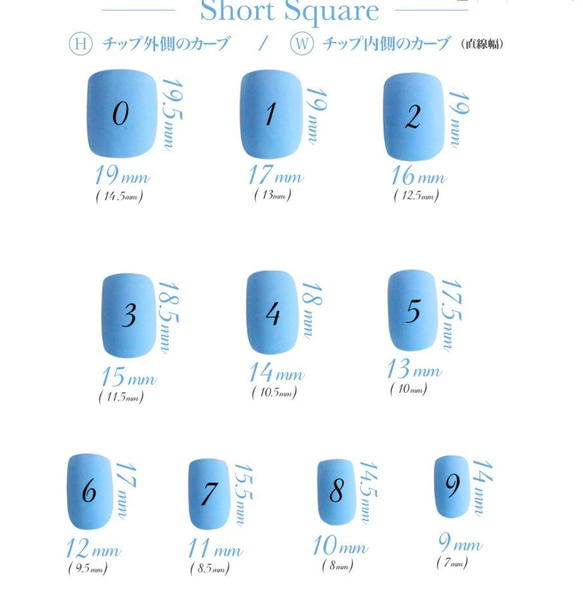  第6張的照片