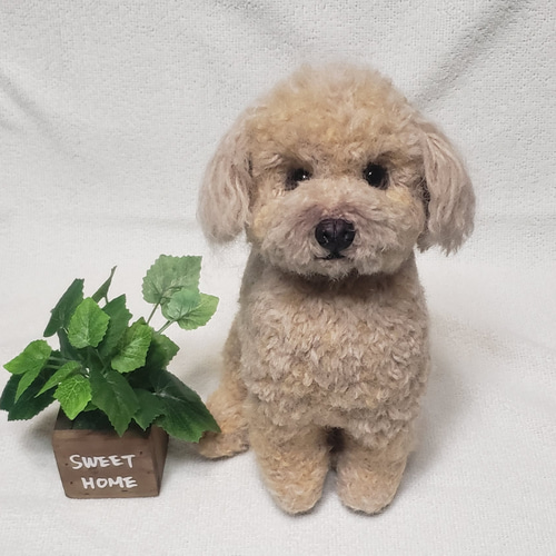 【驚きの値段で】 羊毛フェルト オーダー 「リアルで可愛いワンちゃん」 トイ 羊毛フェルト