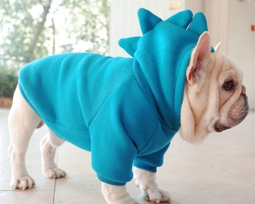 4ccd5ba4651fd38128b068c06fcd3d