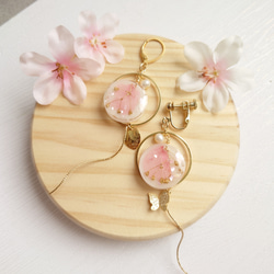 花之星球櫻花滿天星淡水珍珠【耳環】淡粉紅色 第9張的照片