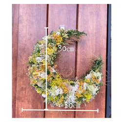 三日月リース※月型　壁飾り　※プリザーブドフラワー※30センチ　グリーン　春のインテリア 2枚目の画像