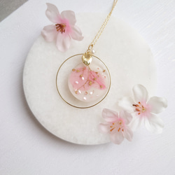 花星球櫻花滿天星淡水珍珠【項鍊】 第5張的照片