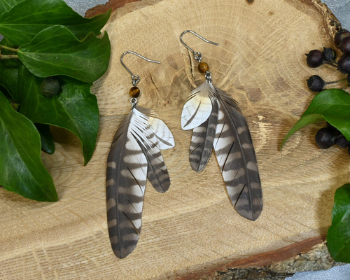 86e1ef232a9ee96acf3ffffadb425f