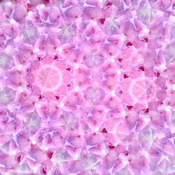 万華鏡 「花舞う春色のそら 」/ 紫陽花 プリザーブドフラワー 枯れないお花 アレンジメント 9枚目の画像