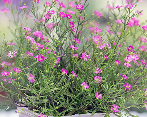 16553ad15f82167ff26d73496f60a7