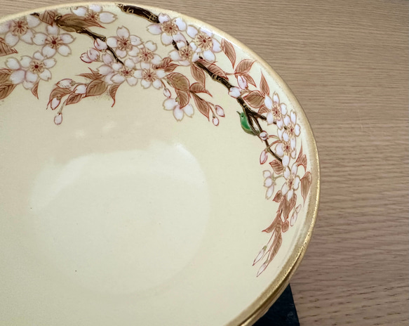 抹茶盌「陽光の桜」 2枚目の画像