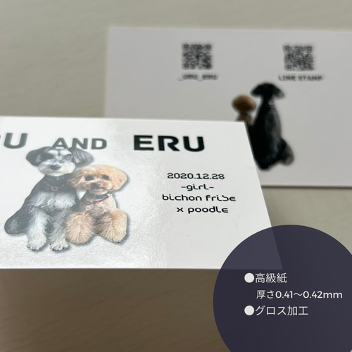 うちの子名刺 セミオーダー両面印刷100枚 QRコードオプション