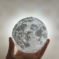月光 -gekoo- 2枚目の画像