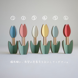【チューリップ】ちゅーりっぷ/チューリップの花/チューリップ/飾り/tulip/tulips 2枚目の画像